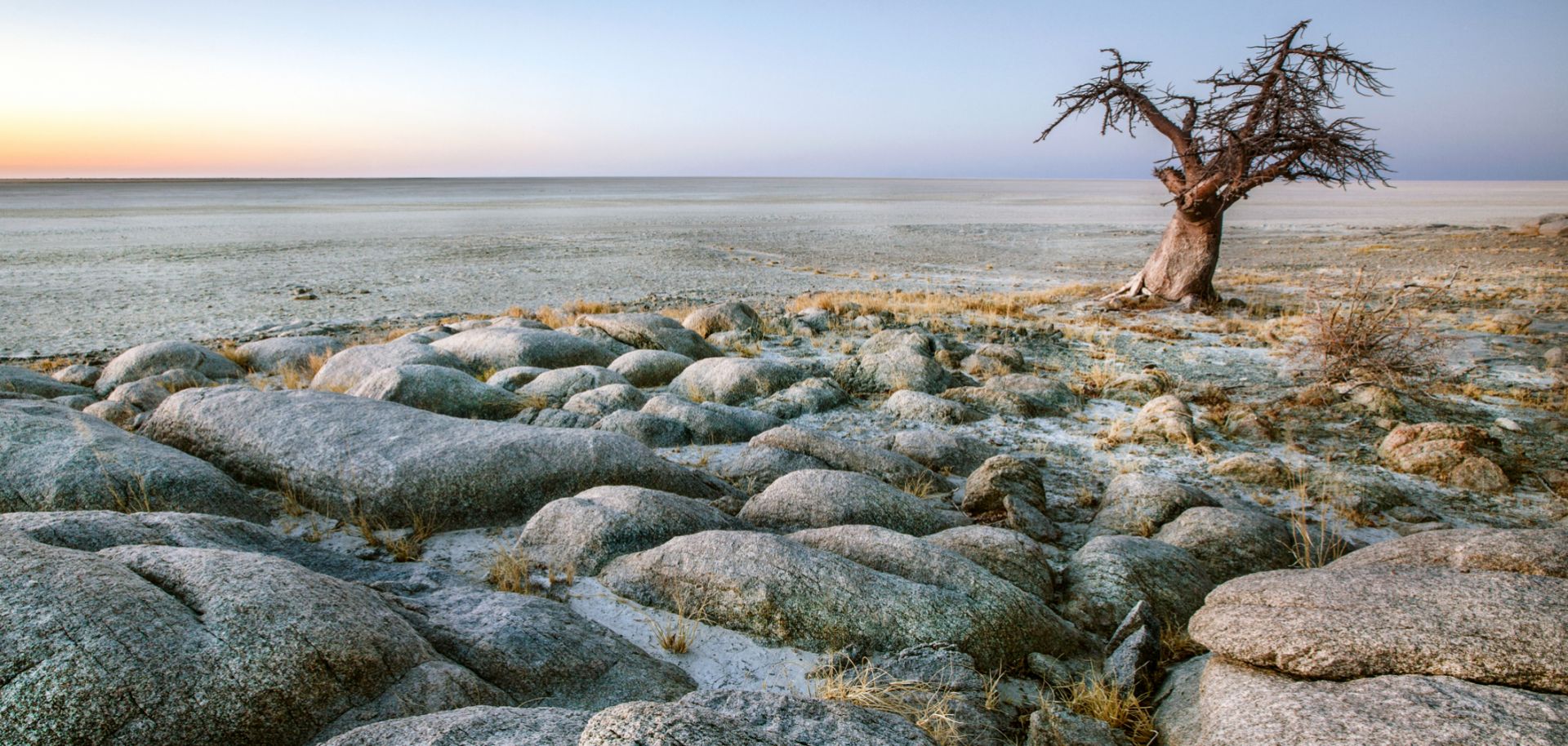 A lone tree stands amidst a rocky and barren landscape. 