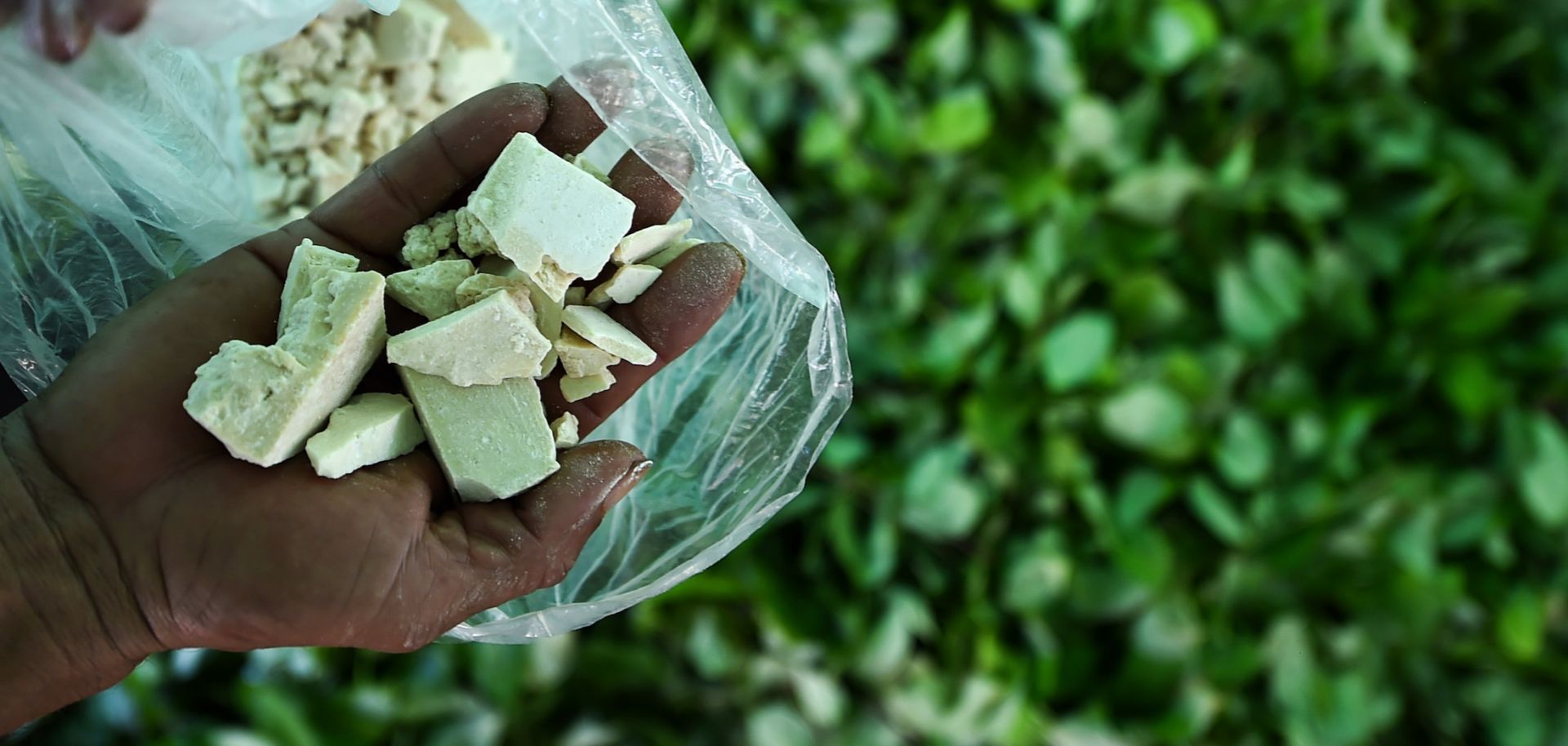 A farmer shows cocaine base paste made from coca leaves at a clandestine farm next to the Inirida River in Colombia during September 2017.