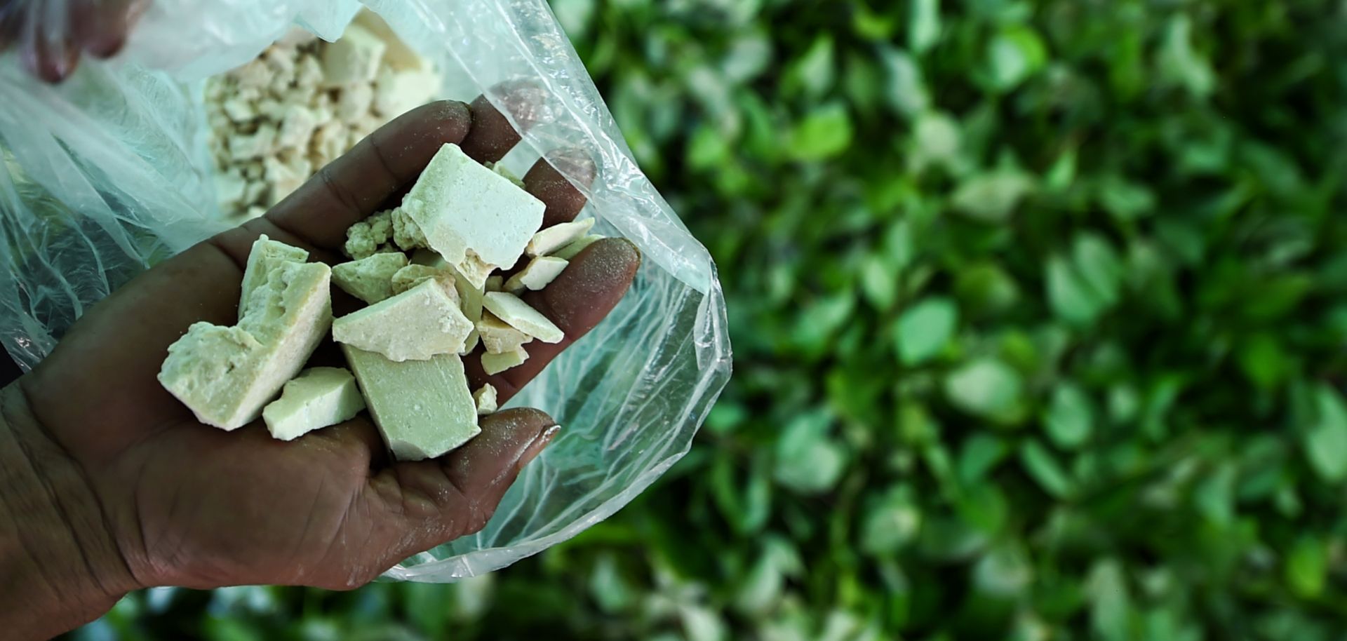 A picture of a Colombian farmer brandishing cocaine base paste at the end of the production process, taken in Guaviare department, 2017.