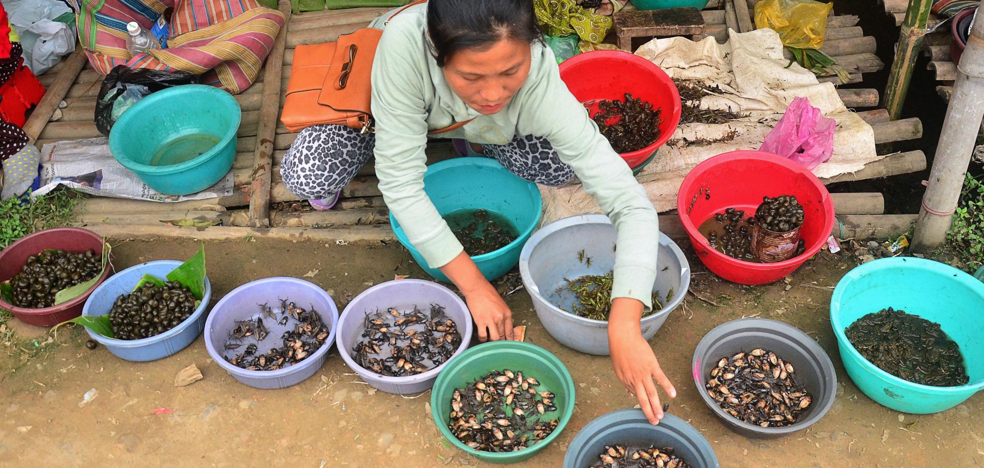 The benefits of multilateral trade deals have largely passed women by, since they are most commonly engaged in the informal sector, less likely to hold large amounts of capital, less likely to have secure land rights and more likely to benefit from public expenditures than are men.