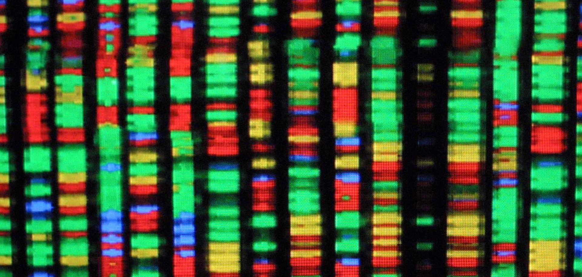 Gene-editing techniques like CRISPR and other technologies, including cloning, would make a significant mark on Chinese agricultural and livestock production. For Beijing, such technological advances are the key to its own security and to winning its competition with the West.