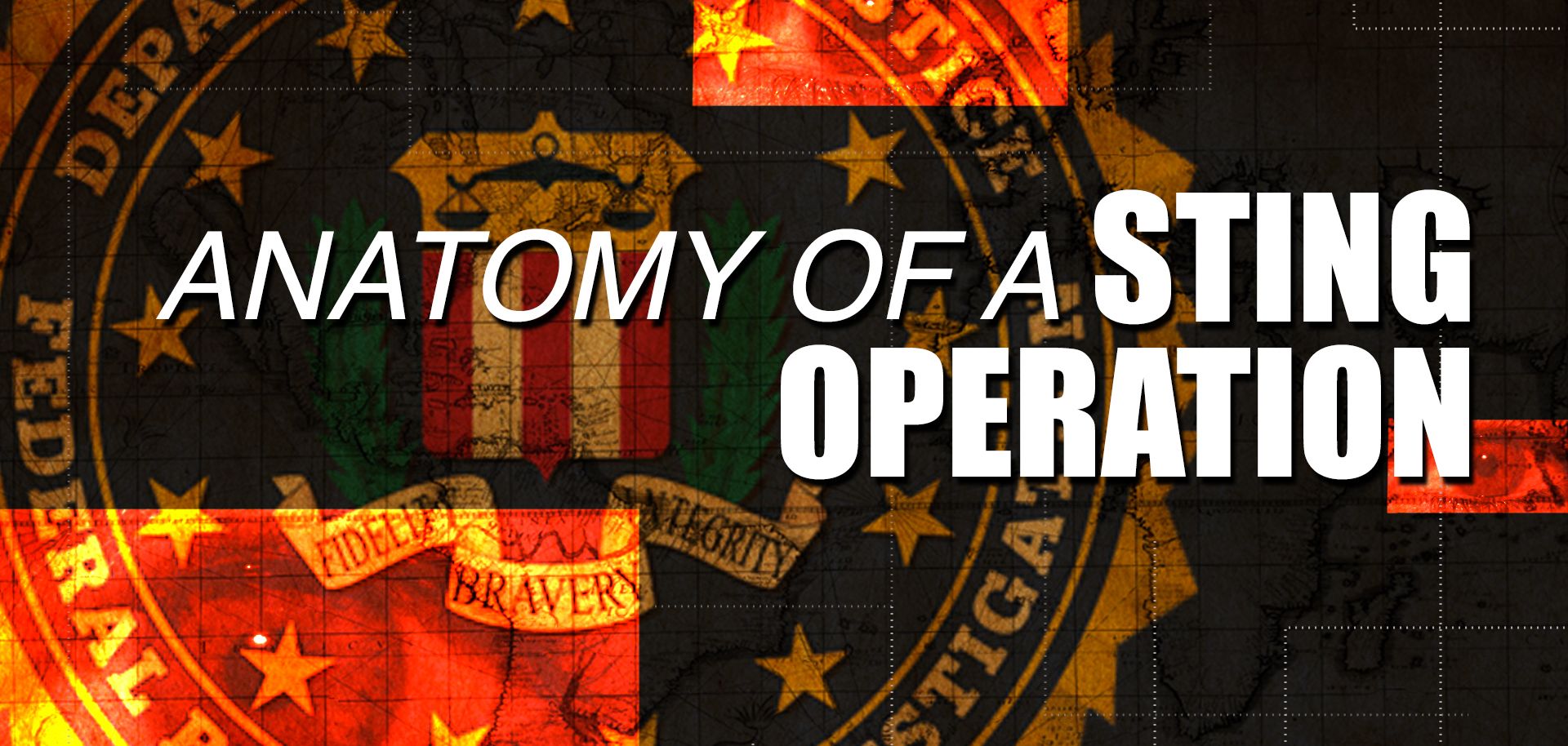 Anatomy Of A Sting Operation